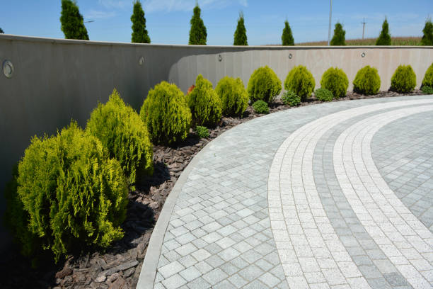 Best Local Driveway Pavers  in Severance, CO